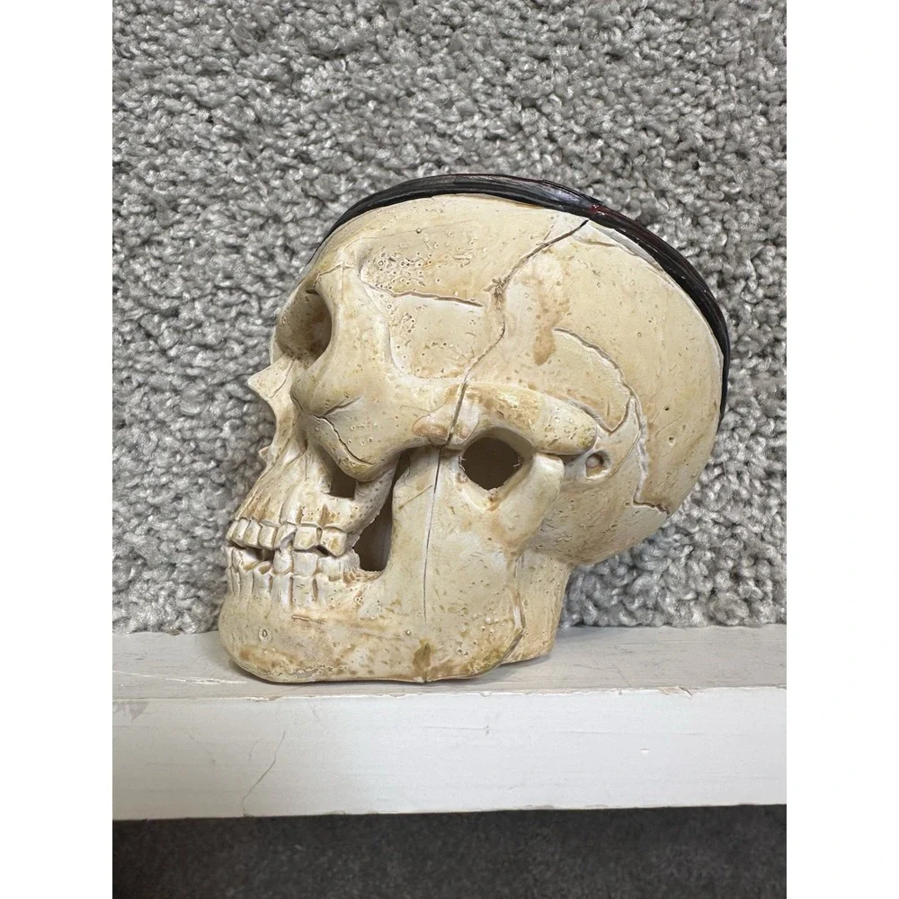 Pirateology The Game Replacement Treasure Skull Bank Coin Holder Sababa